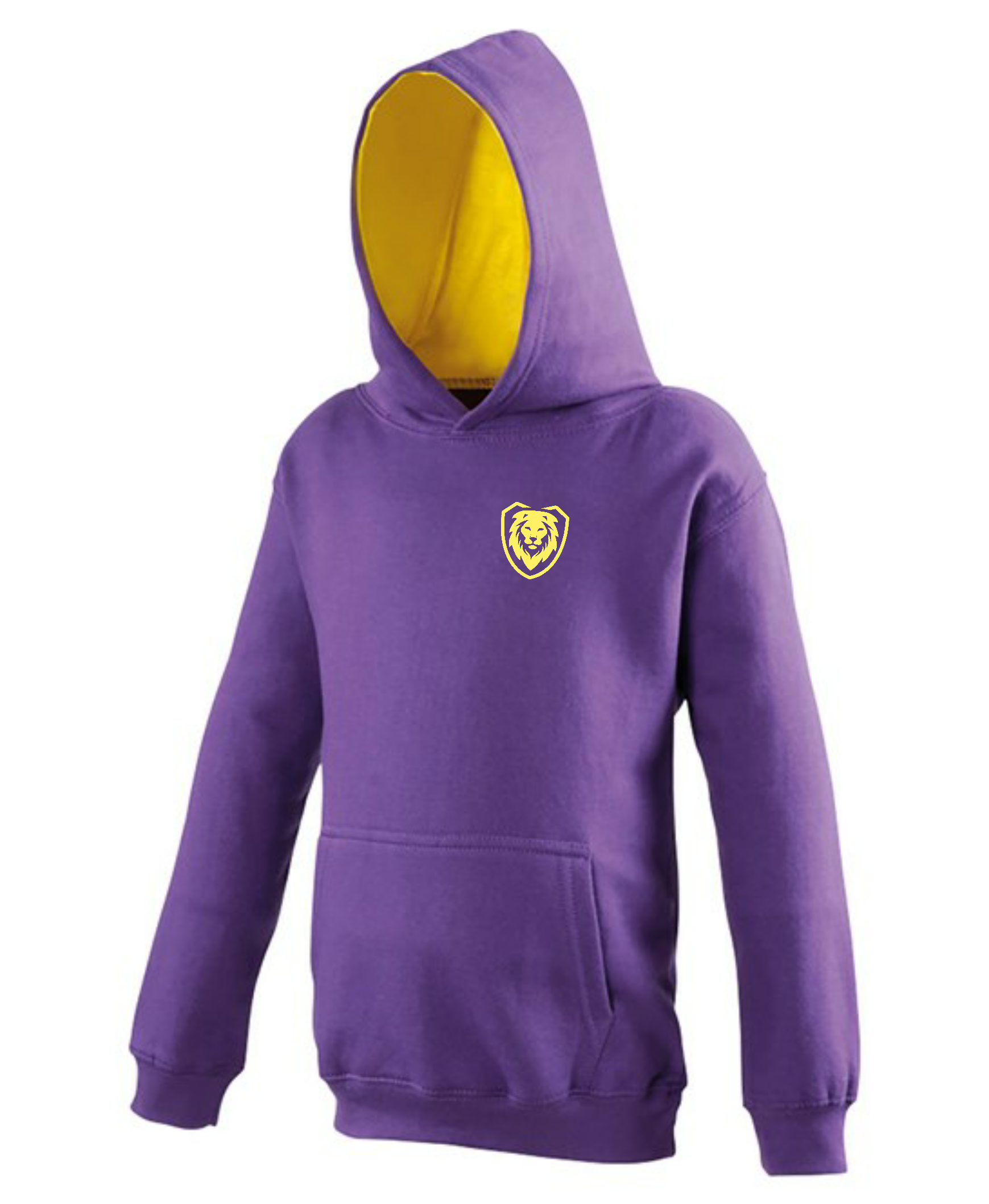 Kids lion hoodie online